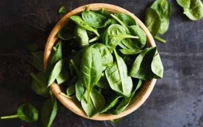 Spenót csicsókás tejsavóval