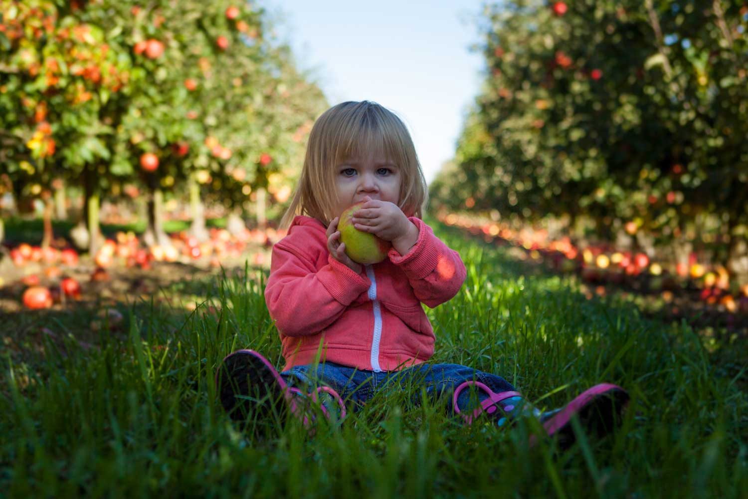 Naponta egy alma, az orvost távolt tartja!