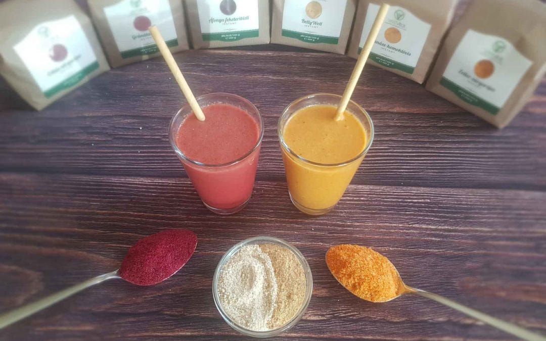 WellVital Shake DeLux